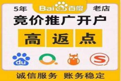SEM服务案例：提升品牌曝光